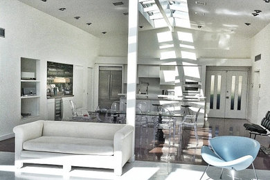 Example of a minimalist living room design in Los Angeles