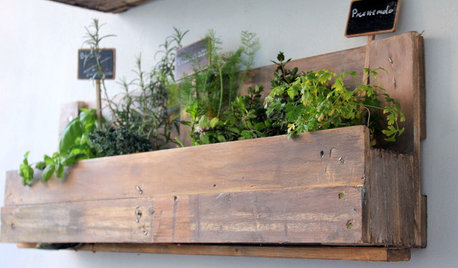 DIY : Fabriquez un potager récup' suspendu en palettes