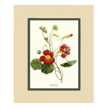 Botanicals