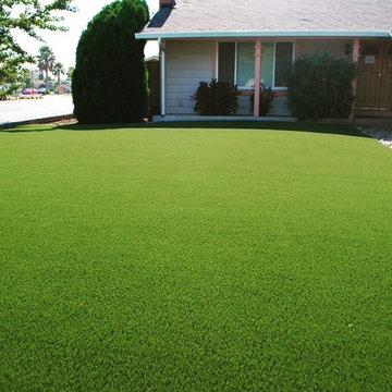 New Landscaping - Los Angeles
