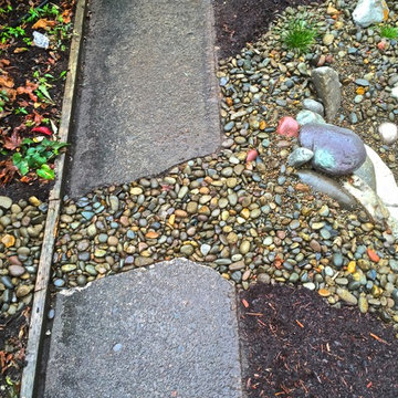 Bioswales and Rain Gardens
