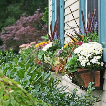 Seasonal Display