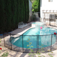 Pool Fence