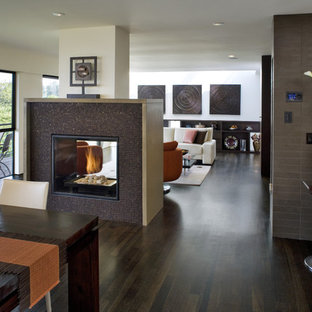 サンフランシスコのコンテンポラリースタイルのLDKの画像 (タイルの暖炉まわり、両方向型暖炉)
