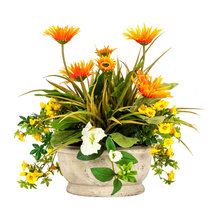 Landscaping & Plants