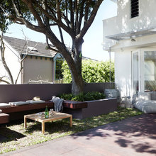 patio around walnut tree