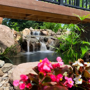 Bringing an 18yr Old Pond Back to LIFE