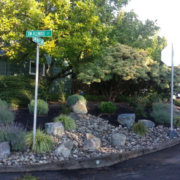 SW Rockery- dealing with a slope