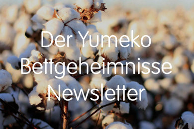 Yumeko Bettgeheimnisse Newsletter
