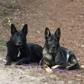 Vonda Bitikofer's photo