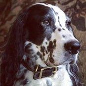 Nikki Brown's photo