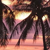 Dawn Thomas Morriss foto