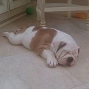 Анна Поборцева's photo