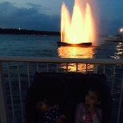Arvind Sharda's photo
