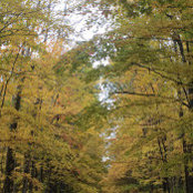 Foto von Tanbing Yan