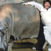Atsushi Kimura's photo