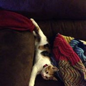 Carol Wren's photo