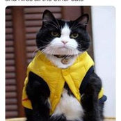 Melanie J Hanick's photo