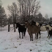 Peggy Abbey's photo