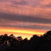Kristi N Clay Augustine's photo