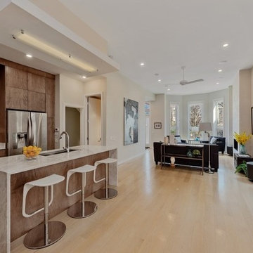 LEED Platinum Chicago Rowhome