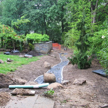 Dry Creek Bed