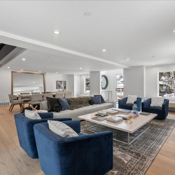 Park Meadows Remodel