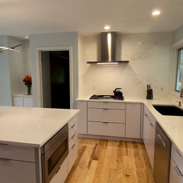 Modern Kitchen Remodel