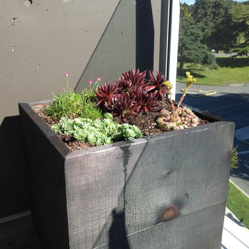 Patio James Bay