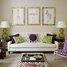 RAte the color Schemes
