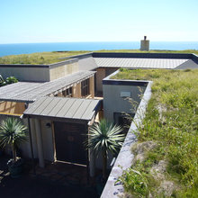 Living Roof