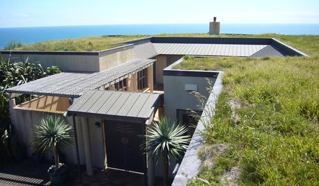 The Growth of Living Roofs