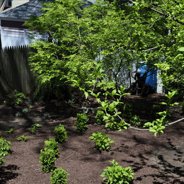 Random Landscape Design projects