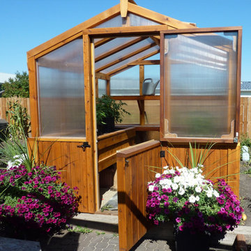 8ft x 8ft Stained Western Red Cedar Greenhouse