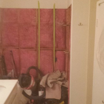 Sun Lakes Master Bathroom