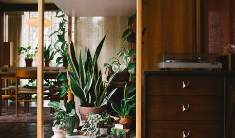 Nature-Inspired Living Spaces