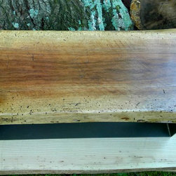 Live Edge Natural Slab - Walnut Bench with Bronzed Base - Furniture