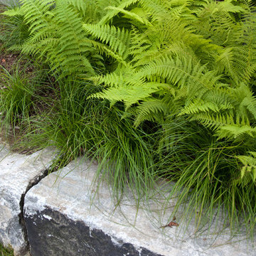 Longwood Garden