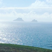 Lolly H's photo