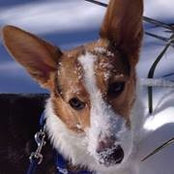 Wendy Goldsmith's photo