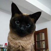 Photo de aferreras