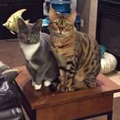Patti Oxley's photo