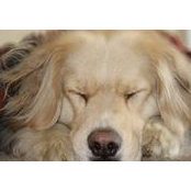 Eileen McLaughlin's photo