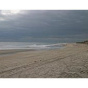 Robin Fox's photo