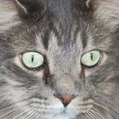 Kimberley Sachs's photo