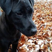 Margaret Ford's photo