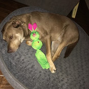 Michele Lipkin's photo