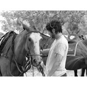 Felipe Allievi's photo