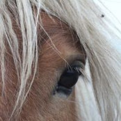 Foto von Karine Bouillet