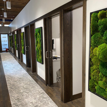 River Market Dental